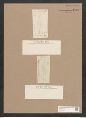 Diatomeae indet. (de-Toni-Nr.: Genus 452) Zeichnungen Sammlung Grunow Nr. 1443 (NHMW-BOT-W0368432)